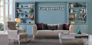 Evergreen Fog