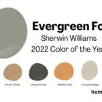 Evergreen fog color palette