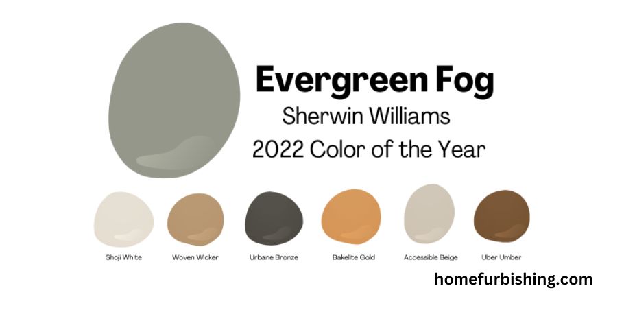 Evergreen fog color palette