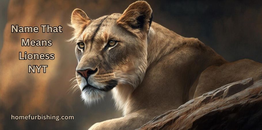 Name-That-Means-Lioness-NYT The Ultimate Guide to the ://vital-mag.net blog